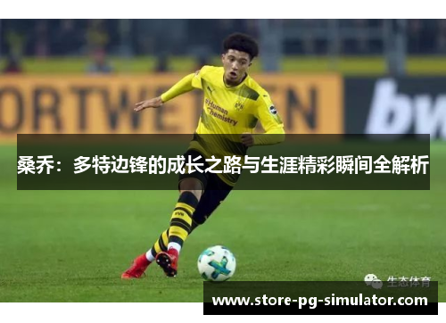 桑乔：多特边锋的成长之路与生涯精彩瞬间全解析